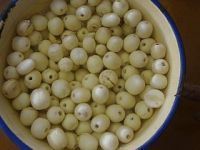 白莲蓉馅是什么做的?