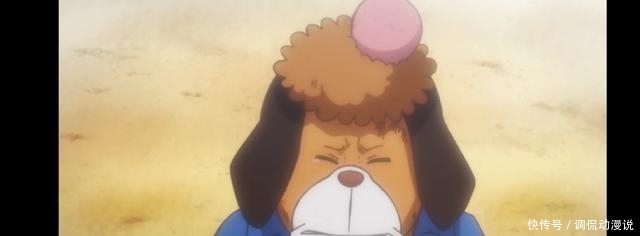 海贼王写了漫画