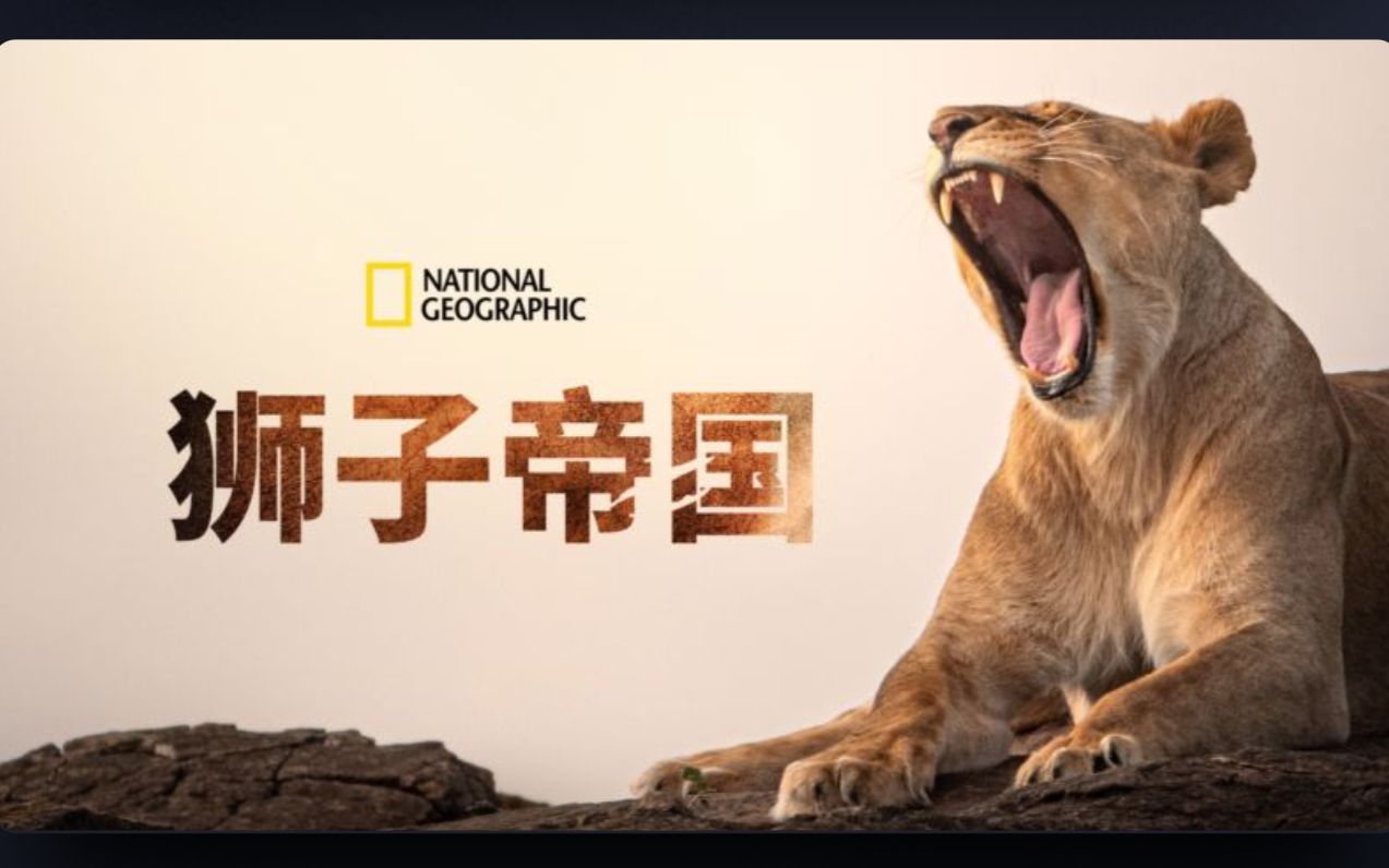 [图]狮子帝国 全3集 1080P中英文双语字幕 Lion Kingdom