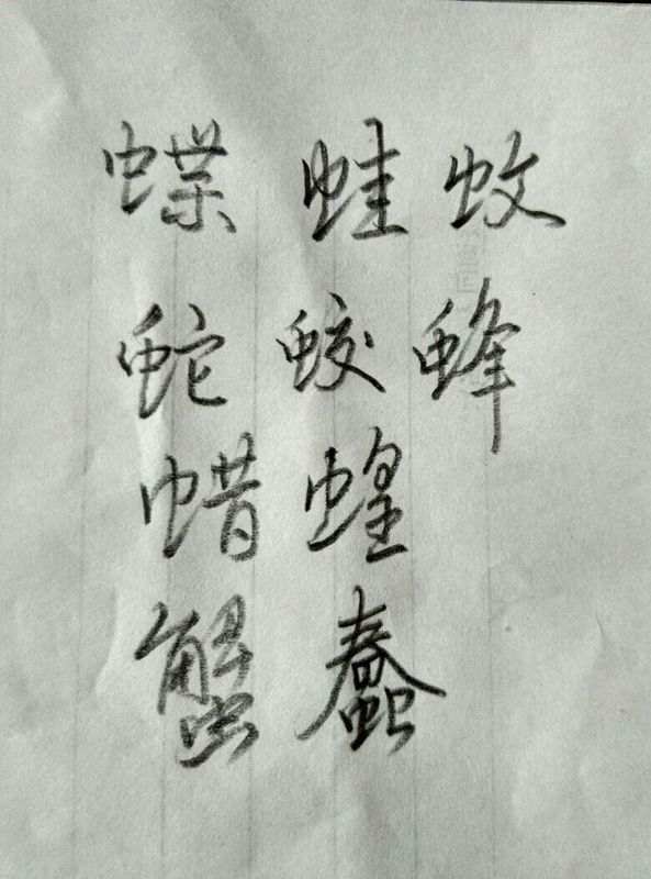 蝶字行書怎麼寫要圖,最好多發幾張蟲字旁的字