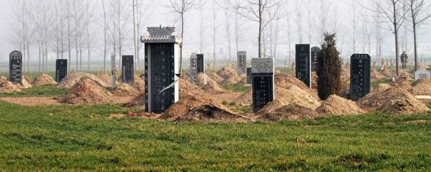 坟地五色土出什么人才