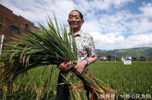 袁隆平是多少人