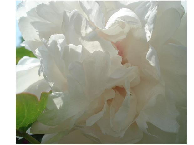 用PS截取了一部分图片,我只是想要北街去的这