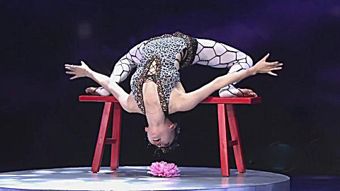 美女柔术,下腰下得太给力!