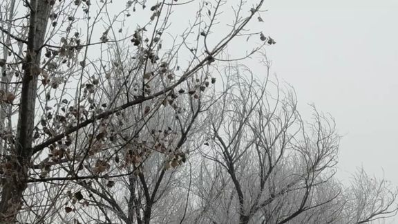 360影视 影视搜索 360影视 影视搜索