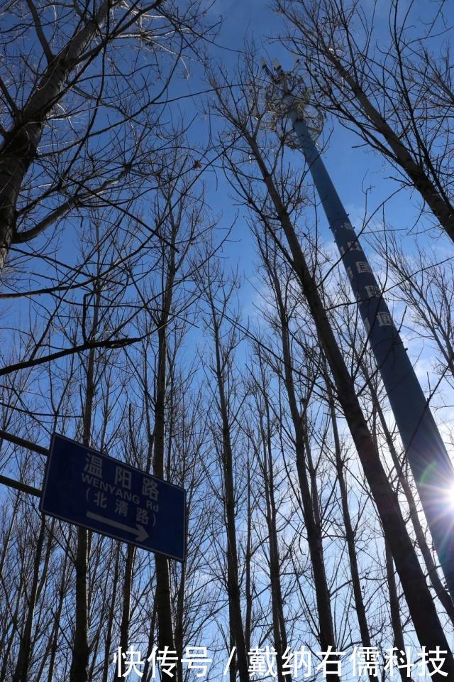 智慧杆是基站吗