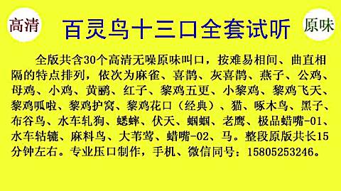 百灵鸟 百灵 十三口 叫声 压口 押口 保定 叫口