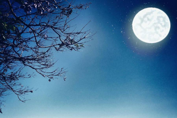 《月是故乡明》细读课文,思考问题:围绕月亮,本文写了哪些内容?