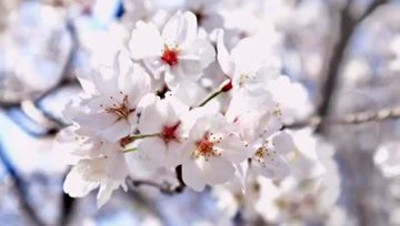 360影视 影视搜索 360影视 影视搜索