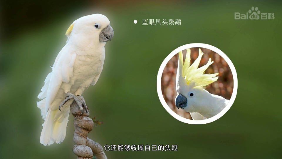 360影视 影视搜索