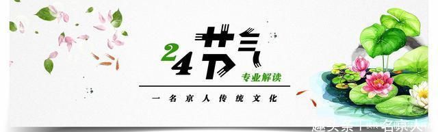 冬至大如年一起吃水饺