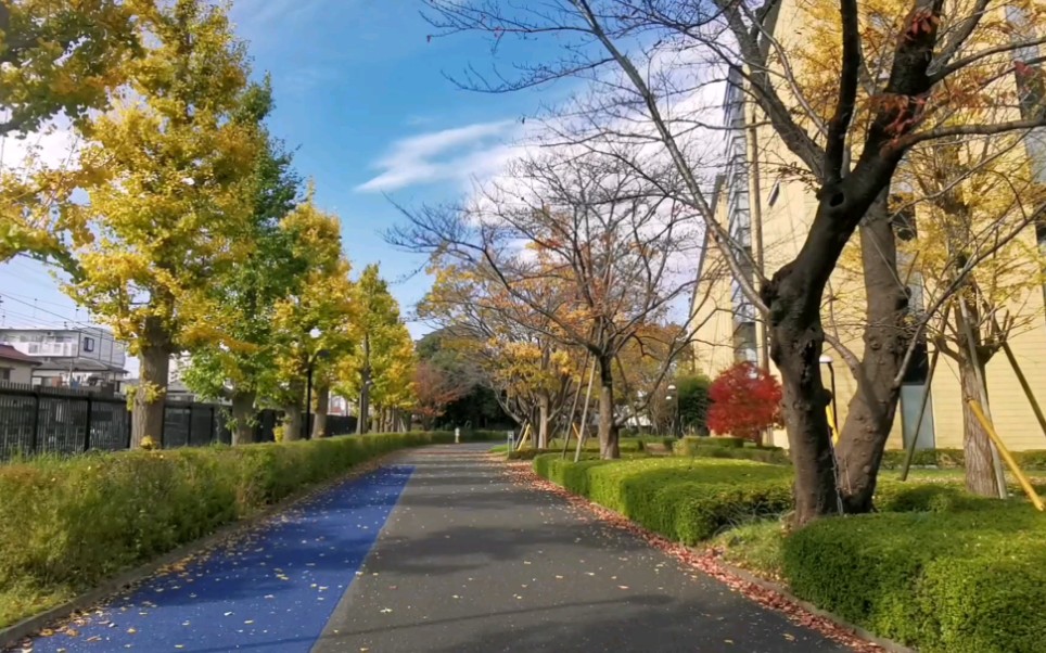 360影视 影视搜索 360影视 影视搜索