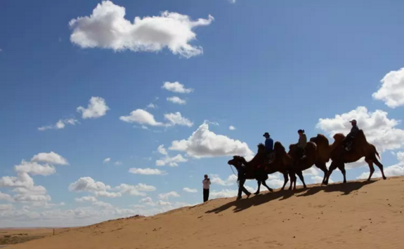 银川一日游去哪好地方,银川旅游必去景点