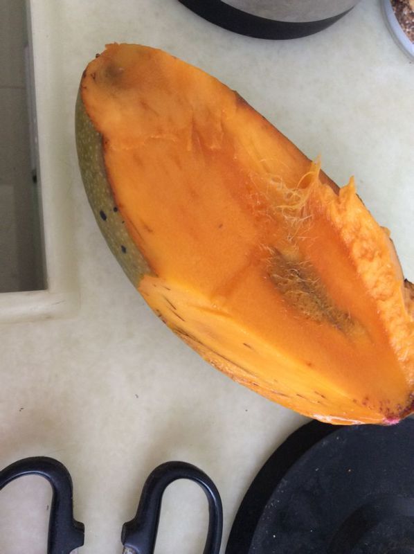 芒果放久了切开来有黑色的丝,还能吃吗?