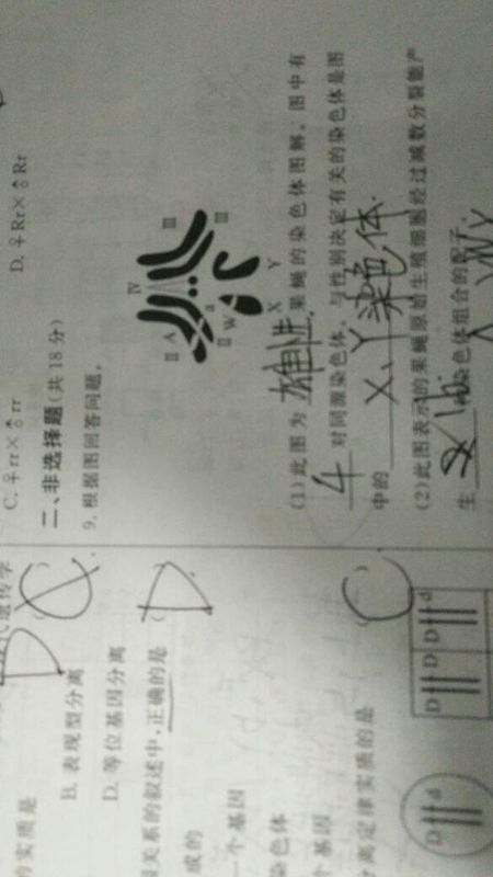 产生配子的种类数目到底怎么算?2^n为什么有