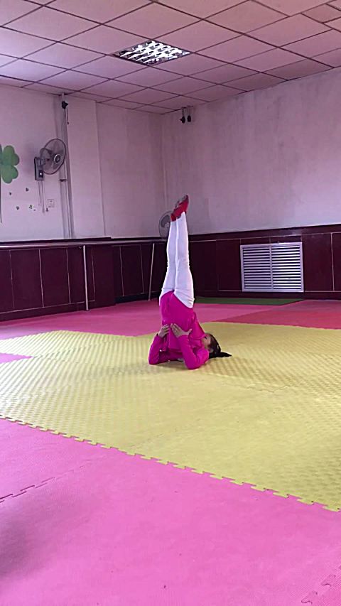  b>肩肘倒立 /b>分解动作