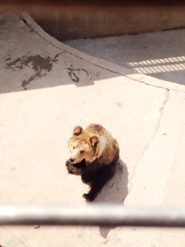 谁知道最恐怖的鬼片电影名字