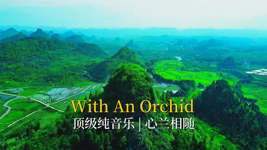 [图]举世闻名的古典纯音乐《With An Orchid》音律洁净高雅,摆脱凡尘