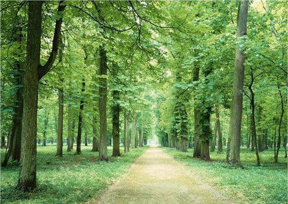 PhotoShop根据颜色原理调色新手入门教程