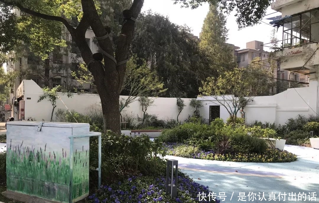 去公园的去公园