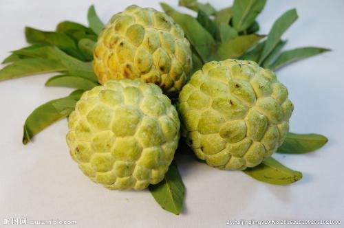 和释迦果长得很像的水果叫什么