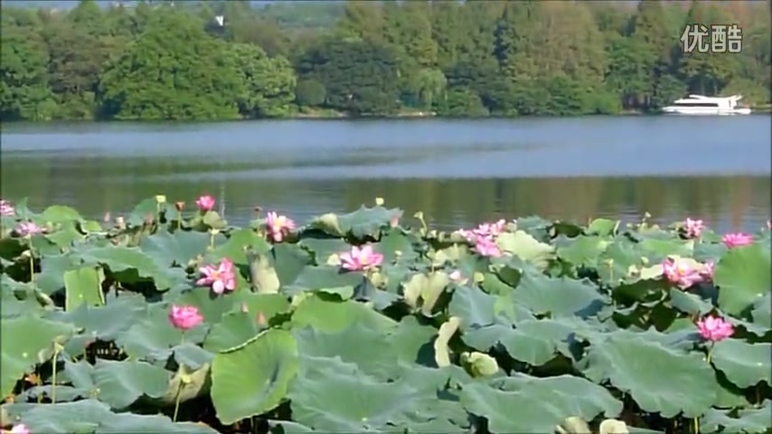 [图]夏景合集