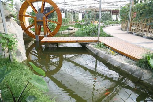 重庆綦江农博园生活体验作文500字