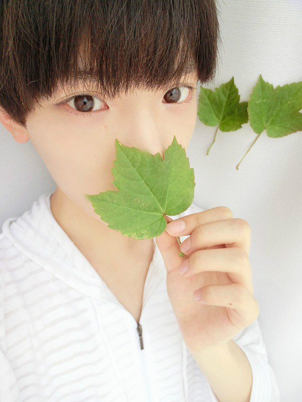 用树叶挡住半边脸的情侣头像,男生是齐刘海的,用绿色的枫叶