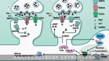 [图]太治愈了!95后医学生画教科书式插画