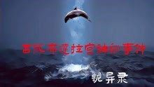 [图]西藏布达拉宫神秘事件事件,上方惊现神秘飞碟