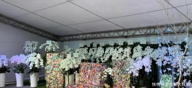 浙江卫视出意外