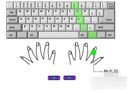 电脑键盘打字,手指的标准放法是怎样的。