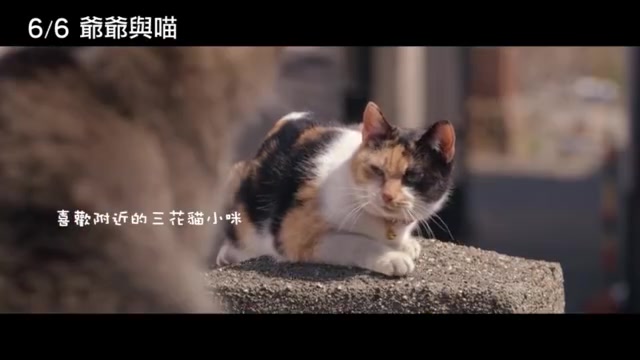 [图]日本电影 爷爷与猫 猫与老爷爷预告片