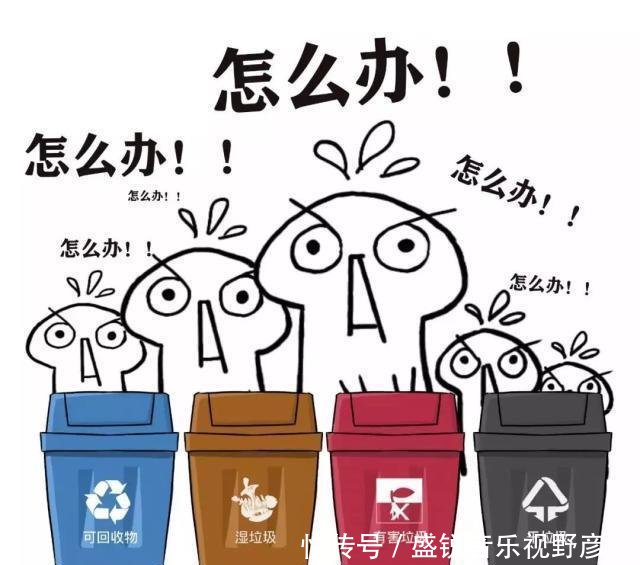 垃圾分分类的知识