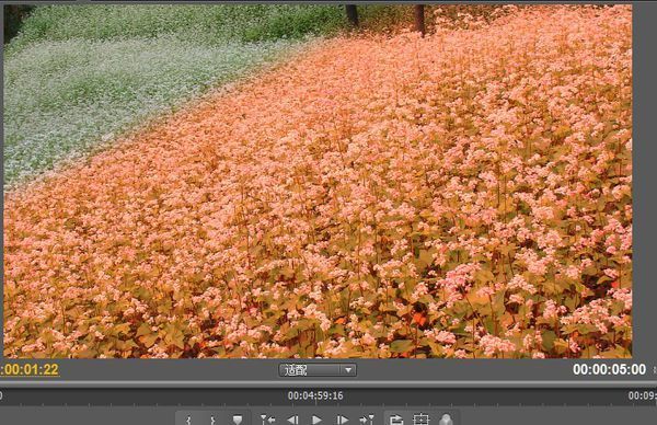 请问下面的效果用PR怎么做的