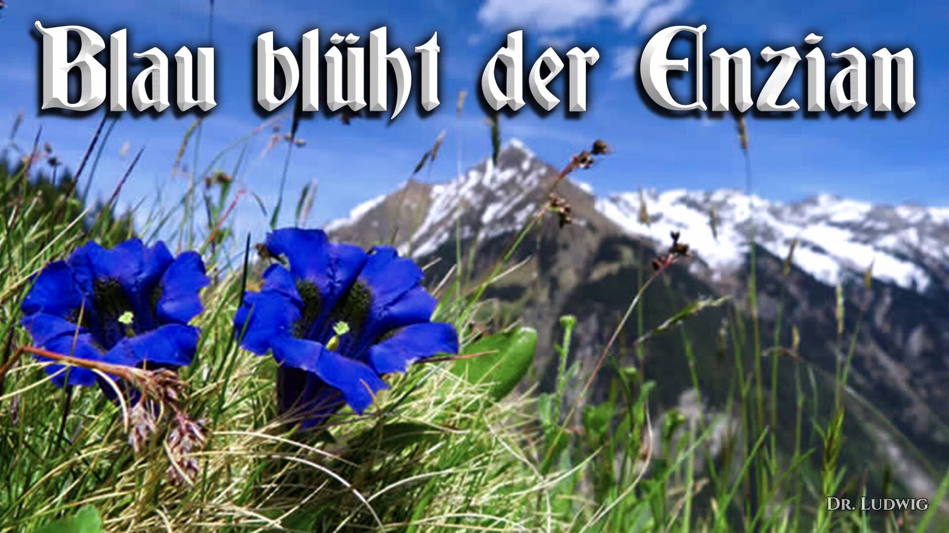 360影视 影视搜索 360影视 影视搜索