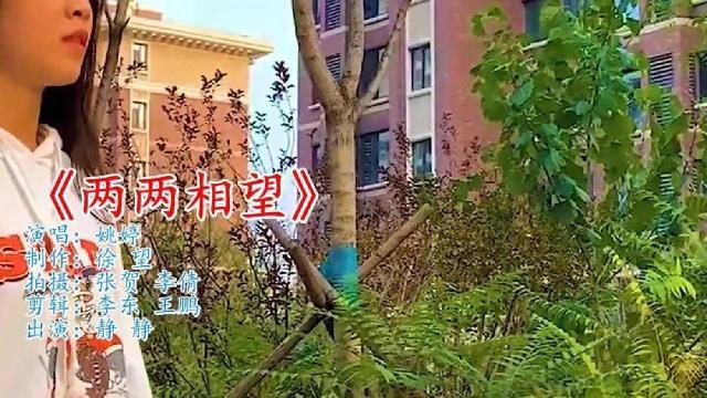 [图]一首《两两相望》醉人又经典,嘹亮歌声太美了