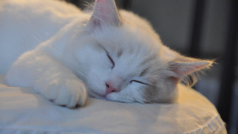 【 b>会说话的刘二豆 /b>】 b>二豆 /b>嘴太碎,差点被妈妈揍!