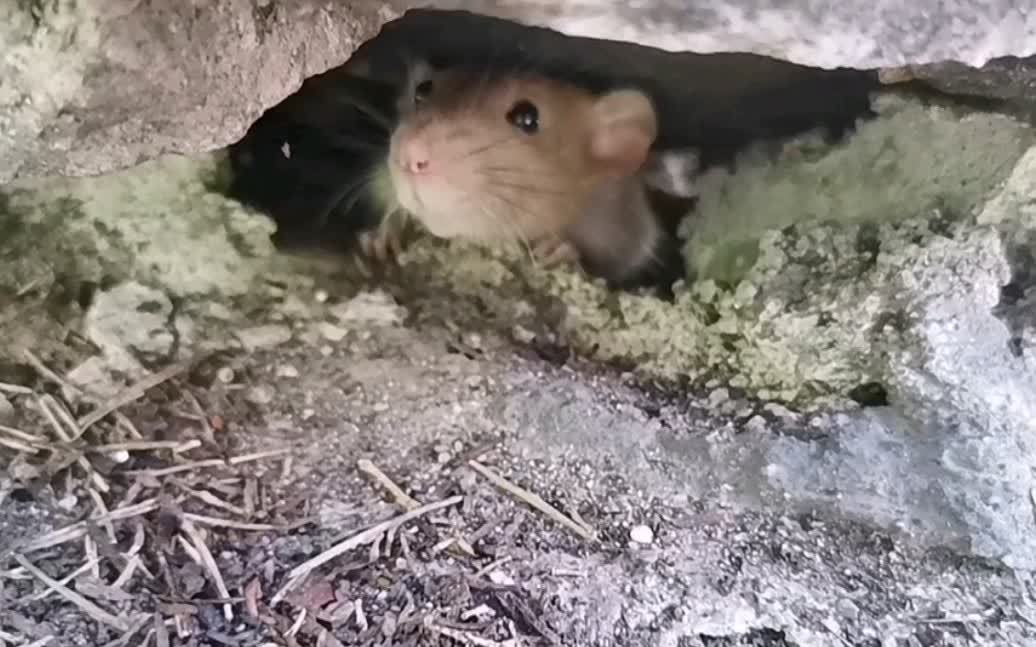 360影视 影视搜索