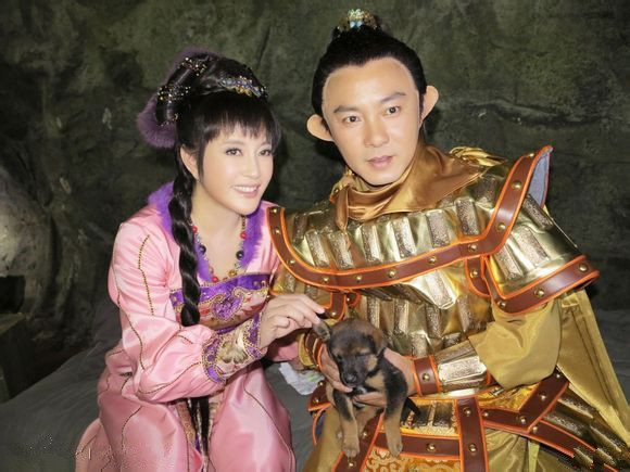 《隋唐英雄》的收视率为什么这么高?