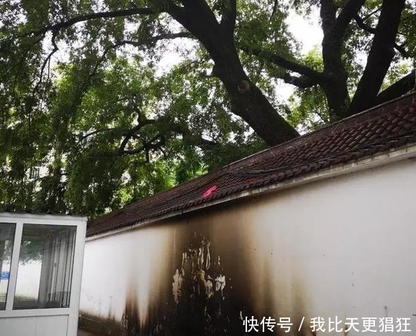 2019教师招聘考试中学真题