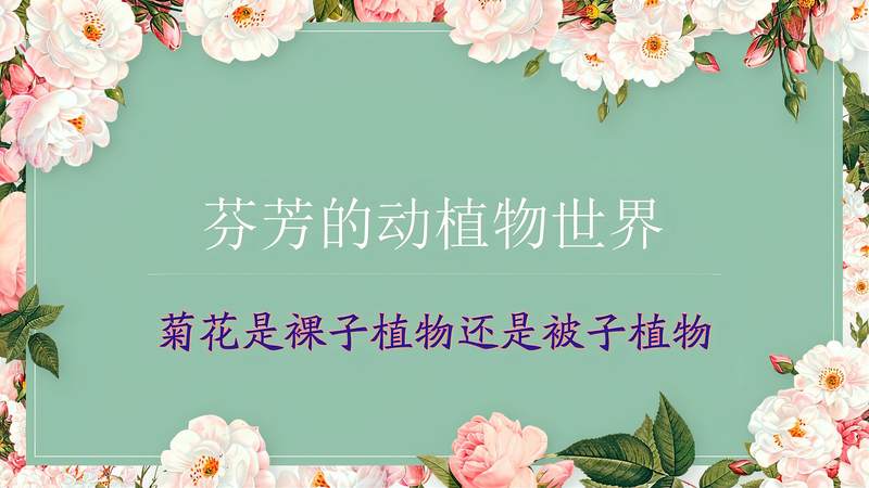 360影视 影视搜索 360影视 影视搜索