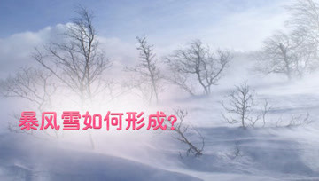 [图]气象小知识:暴风雪形成的原因与危害