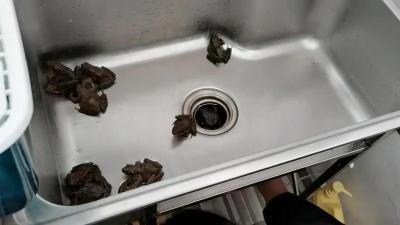 360影视 影视搜索 360影视 影视搜索
