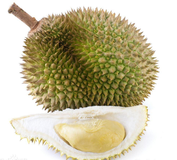 榴莲有几种样子,别称是什么?