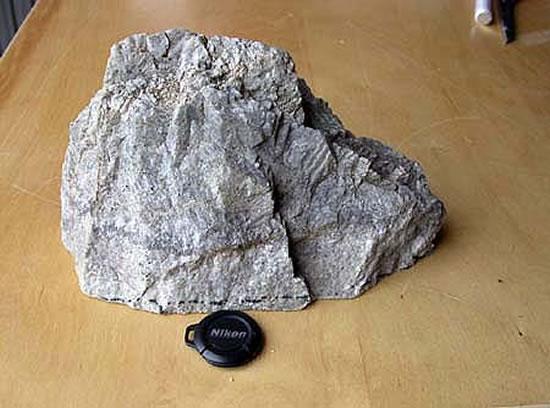 碳酸岩的稀土元素富集机制