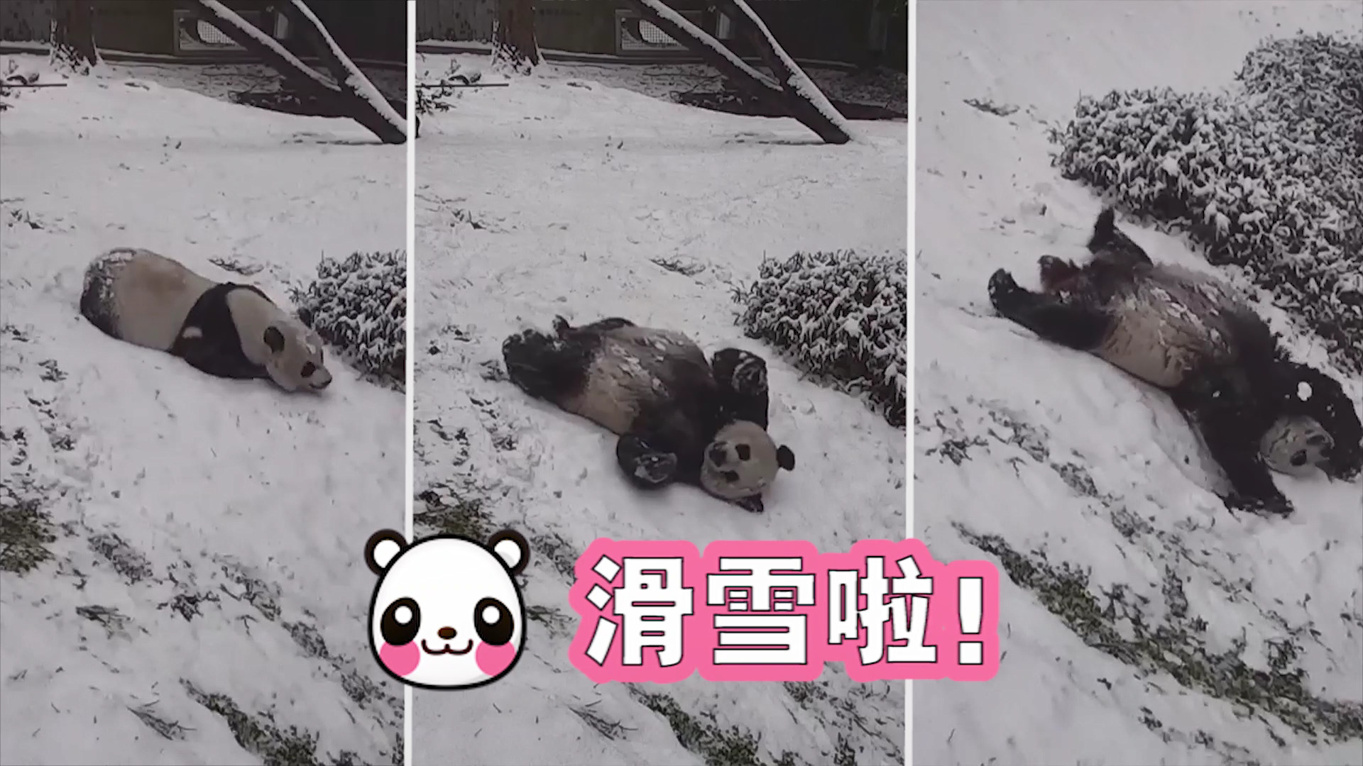 360影视 影视搜索