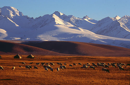 南边是塔里木盆地;北边是准噶尔盆地