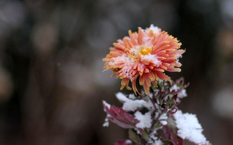 360影视 影视搜索 360影视 影视搜索