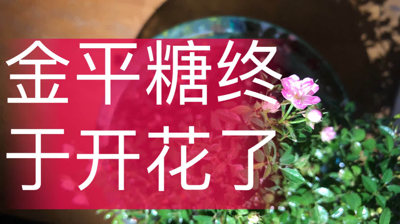 360影视 影视搜索 360影视 影视搜索